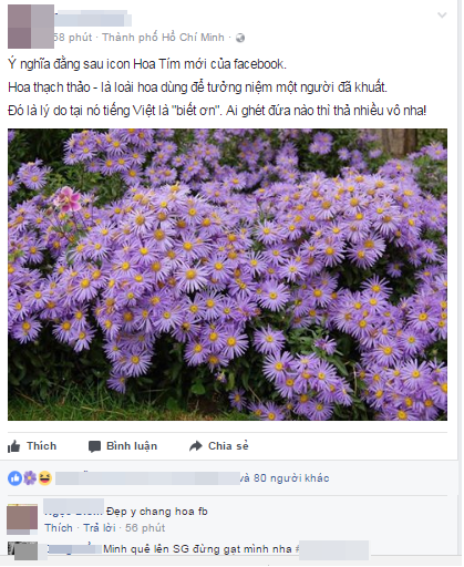 Thả hoa nhiều trên Facebook như thế, nhưng liệu bạn có biết ý nghĩa và thể loại hoa màu tím này không? - Ảnh 2.