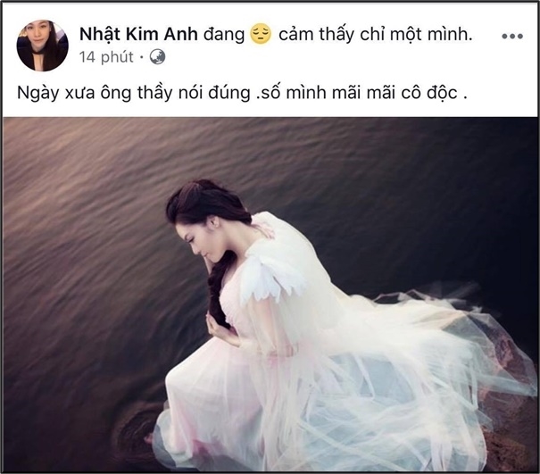 Nhật Kim Anh bức xúc lên tiếng trước tin đồn gia đình tan vỡ - Ảnh 2.