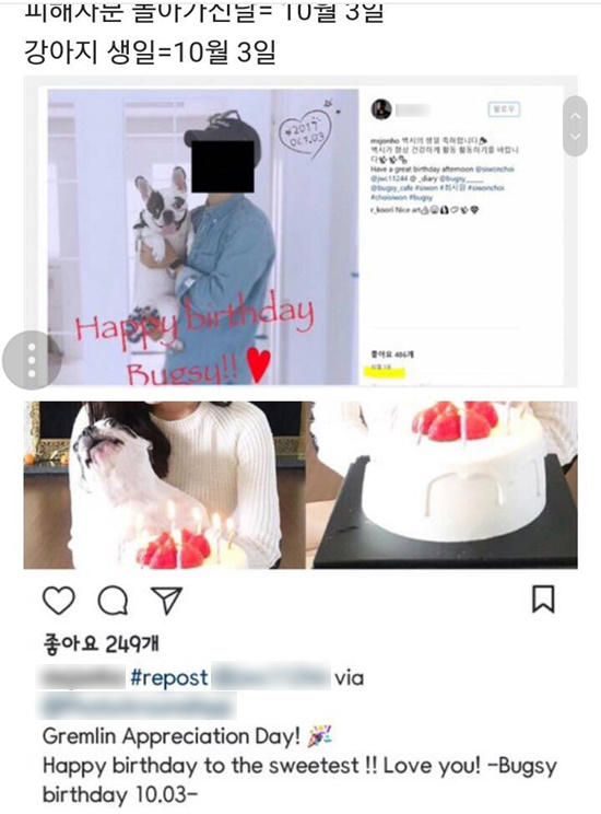 Netizen phẫn nộ vì gia đình Siwon tiếp tục thả chó, tổ chức sinh nhật cho thú cưng sau sự cố cắn CEO  - Ảnh 1.