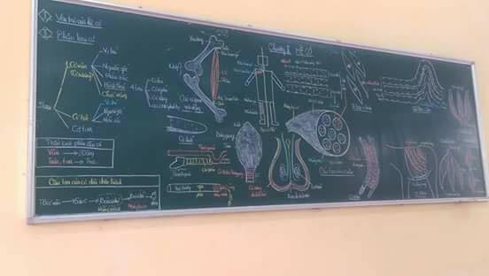 Thầy giáo nhà người ta: Đến lớp sớm vẽ hình minh họa siêu đẹp trên bảng giúp sinh viên dễ hiểu bài! - Ảnh 3.