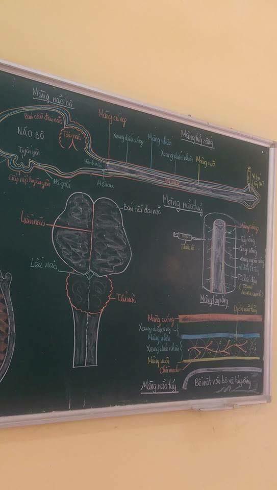 Thầy giáo nhà người ta: Đến lớp sớm vẽ hình minh họa siêu đẹp trên bảng giúp sinh viên dễ hiểu bài! - Ảnh 4.