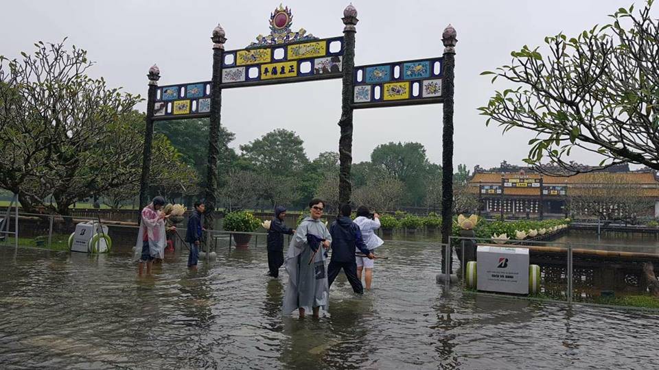 Clip: Cả đàn cá chép bơi tung tăng giữa Đại nội Huế trong ngày mưa lũ - Ảnh 3. Clip: Cả đàn cá chép bơi tung tăng giữa Đại nội Huế trong ngày mưa lũ - Ảnh 3.