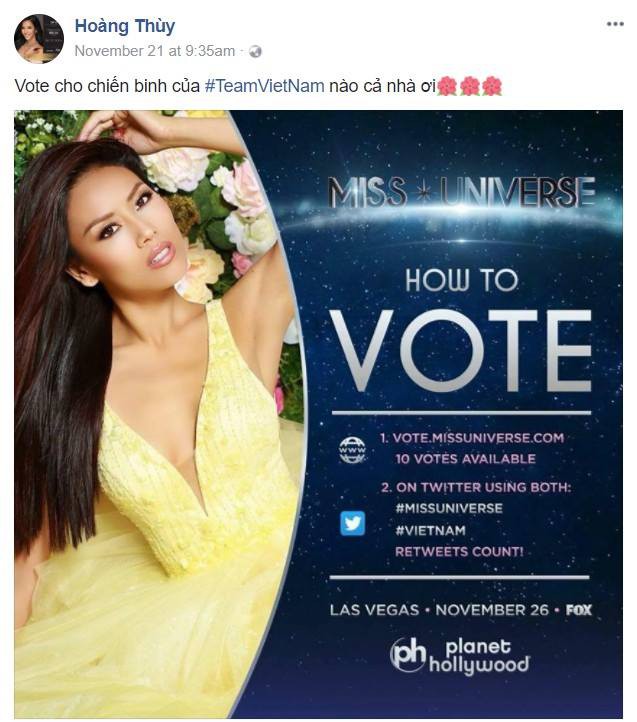 Trước thềm chung kết Miss Universe, Á hậu Thùy Dung, Hoàng Thuỳ và loạt sao Việt đồng loạt kêu gọi ủng hộ cho Nguyễn Thị Loan - Ảnh 2.