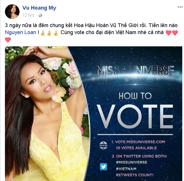 Trước thềm chung kết Miss Universe, Á hậu Thùy Dung, Hoàng Thuỳ và loạt sao Việt đồng loạt kêu gọi ủng hộ cho Nguyễn Thị Loan - Ảnh 5.