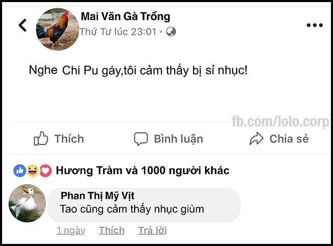 16 dòng status cập nhật siêu bựa của bè lũ động vật khi chơi Facebook - Ảnh 3.