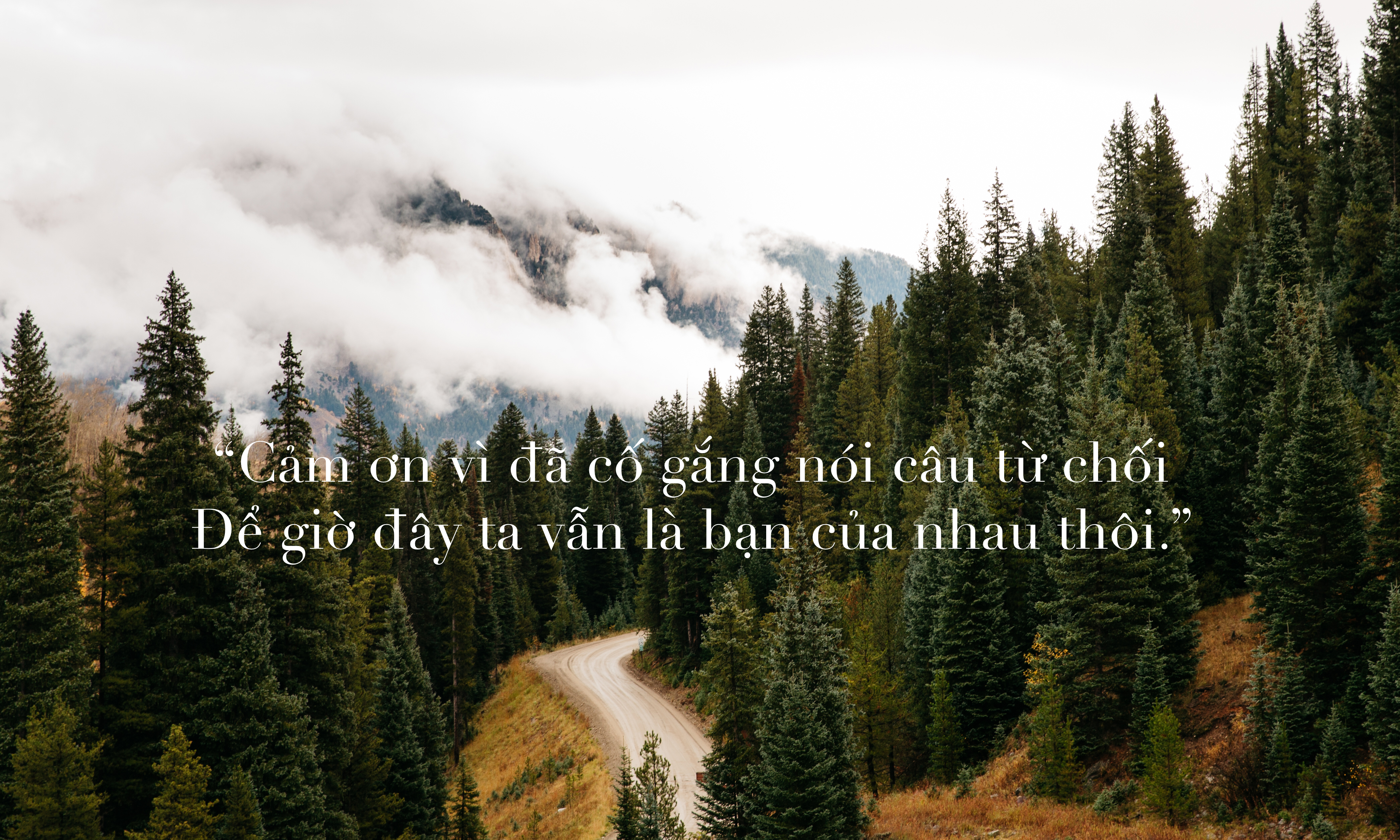 Cáº£m Æ¡n vÃ¬ ÄÃ£ cá» gáº¯ng nÃ³i cÃ¢u tá»« chá»i. Äá» hÃ´m nay khÃ´ng má»t ai pháº£i lau nÆ°á»c máº¯t rÆ¡i. - áº¢nh 3.