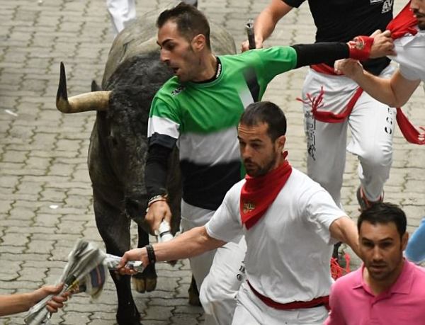 Tây Ban Nha: Hàng loạt du khách bị húc trọng thương trong lễ hội bò tót - Ảnh 4.