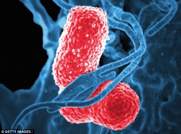 Chuyên gia Harvard: Ác mộng vi khuẩn kháng kháng sinh đang trở nên nguy hiểm hơn chúng ta tưởng - Ảnh 2.