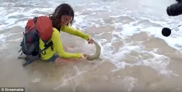 Tí tởn selfie với cá mập trên bờ biển, cô gái ăn quả đắng khi bị cắn, rồi còn bị phạt hơn 50 triệu - Ảnh 2.