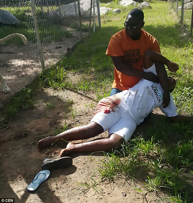 Tựa v&agrave;o h&agrave;ng r&agrave;o chụp ảnh b&ecirc;n chuồng sư tử, nữ du kh&aacute;ch bị tấn c&ocirc;ng phải nhập viện - Ảnh 1.