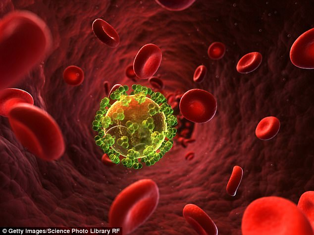 Tế bào tự kháng HIV - phương pháp điều trị căn bệnh thế kỷ hiệu quả nhất từ trước đến nay - Ảnh 2.