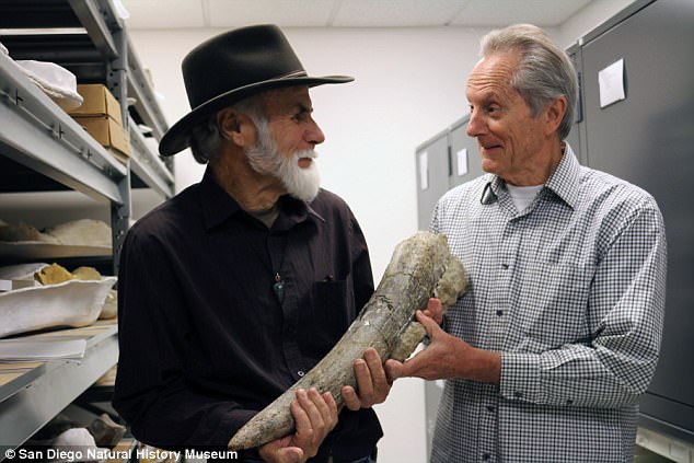 Tìm ra hóa thạch có khả năng viết lại toàn bộ lịch sử về con người - Ảnh 3.