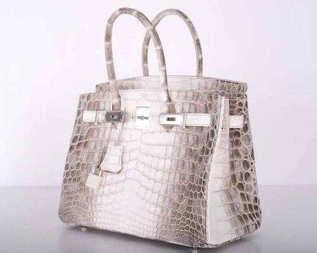 Bạn đã có túi Hermes Birkin Himalaya chưa? - Ảnh 3.