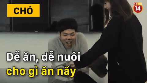 Sự kh&aacute;c biệt ho&agrave;n to&agrave;n giữa #team nu&ocirc;i ch&oacute; v&agrave; #team nu&ocirc;i m&egrave;o! - Ảnh 14.