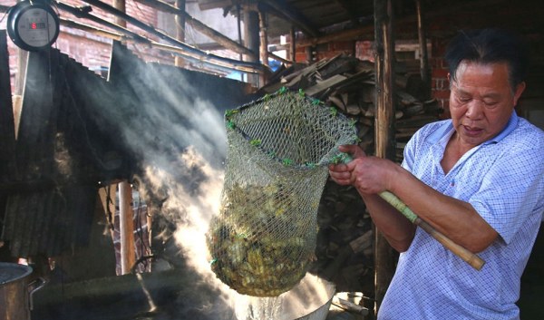 Hàng nghìn vịt đực bị trụng nước sôi, nghiền nát rồi đem làm thức ăn cho rắn - Ảnh 4.