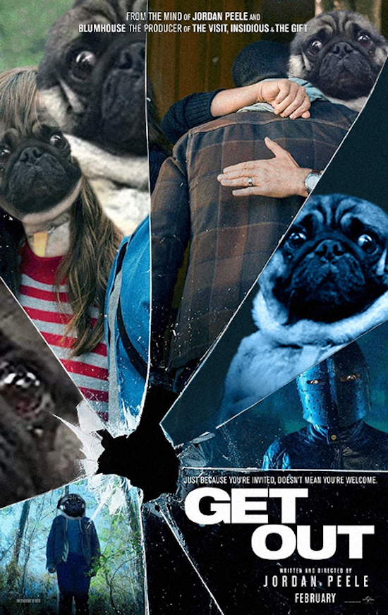 Gặp gỡ ch&uacute; ch&oacute; Pug mặt nh&acirc;y bị d&acirc;n mạng đem ra chế ảnh l&agrave;m tr&ograve; cười - Ảnh 8.