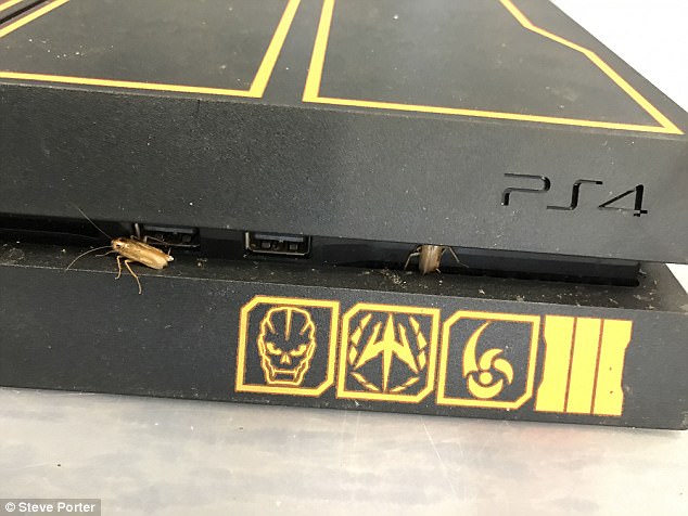Hiện tượng kinh dị m&agrave; bất kỳ ai sở hữu m&aacute;y PS4 cũng đều thấu hiểu - Ảnh 4.