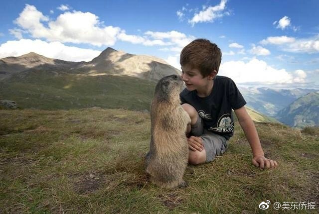 Suốt 9 năm, cậu bé không quản khó khăn, leo lên đỉnh Alps thăm những người bạn chuột chũi của mình - Ảnh 7.