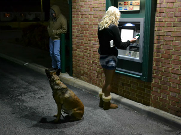 Những chú chó vào vai bảo kê máu mặt tại các cây ATM vào ban đêm - Ảnh 7.