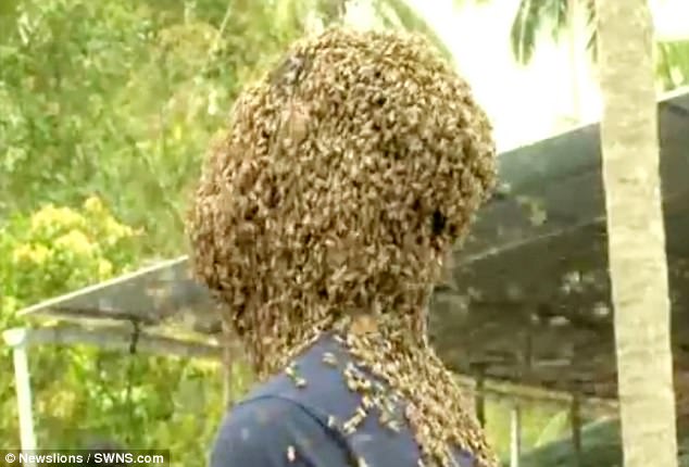 Để 60.000 con ong bâu kín mặt, chàng trai vẫn thản nhiên nói chuyện đọc sách - Ảnh 4.