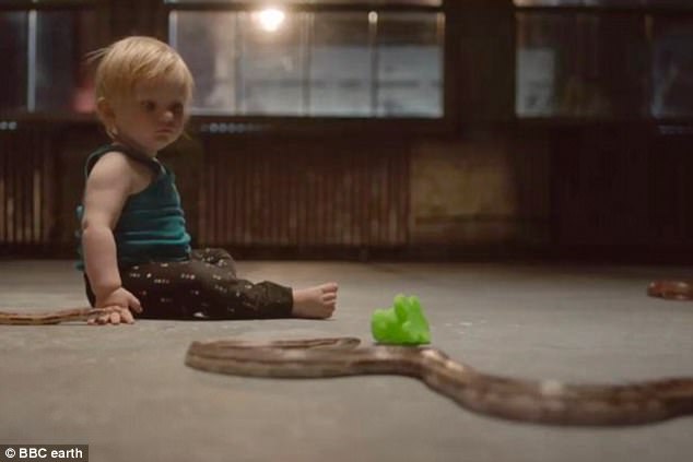 Nghiên cứu của Mỹ: em bé một mình chơi đùa với rắn và lời giải khoa học đằng sau đó - Ảnh 2.