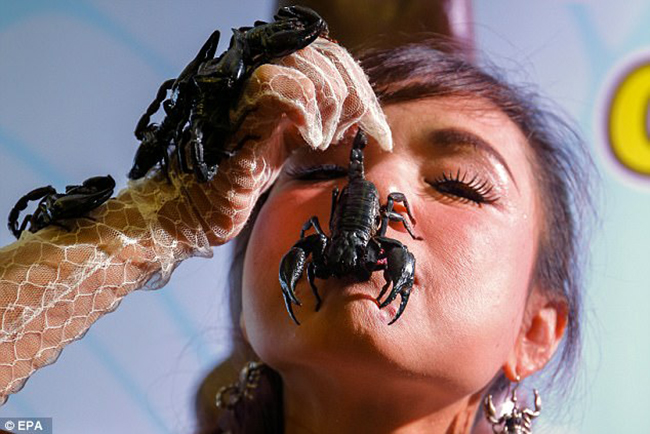 Người phụ nữ phủ k&iacute;n bọ cạp tr&ecirc;n cơ thể m&agrave; kh&ocirc;ng sợ chết - Ảnh 5.