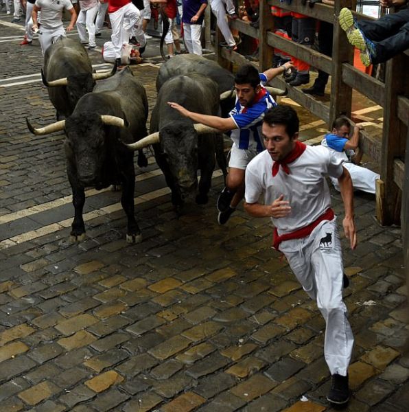 Tây Ban Nha: Hàng loạt du khách bị húc trọng thương trong lễ hội bò tót - Ảnh 6.