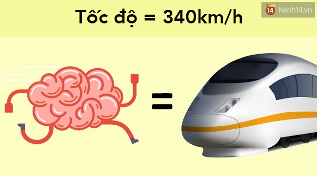 8 sự thật khó tin khi so sánh con người với những siêu máy tính mạnh nhất thế giới - Ảnh 6.