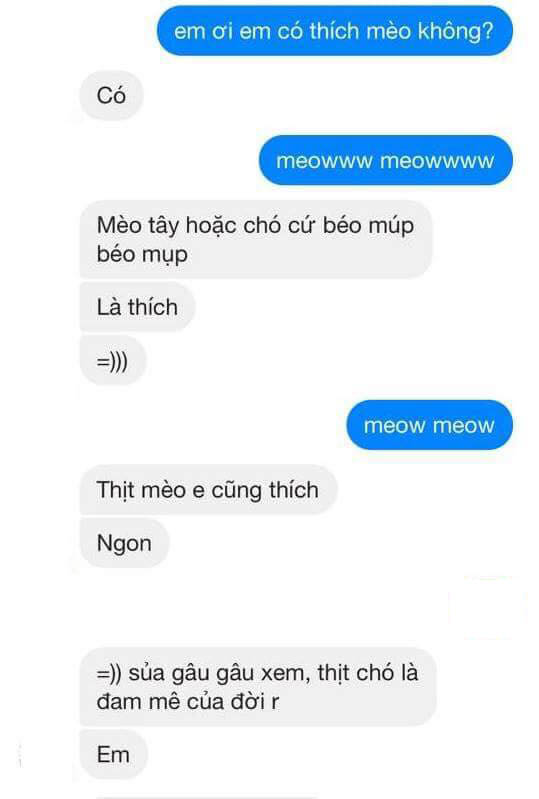 Xu hướng thả th&iacute;nh mới của giới trẻ: Bạn c&oacute; th&iacute;ch m&egrave;o kh&ocirc;ng? - Ảnh 5.