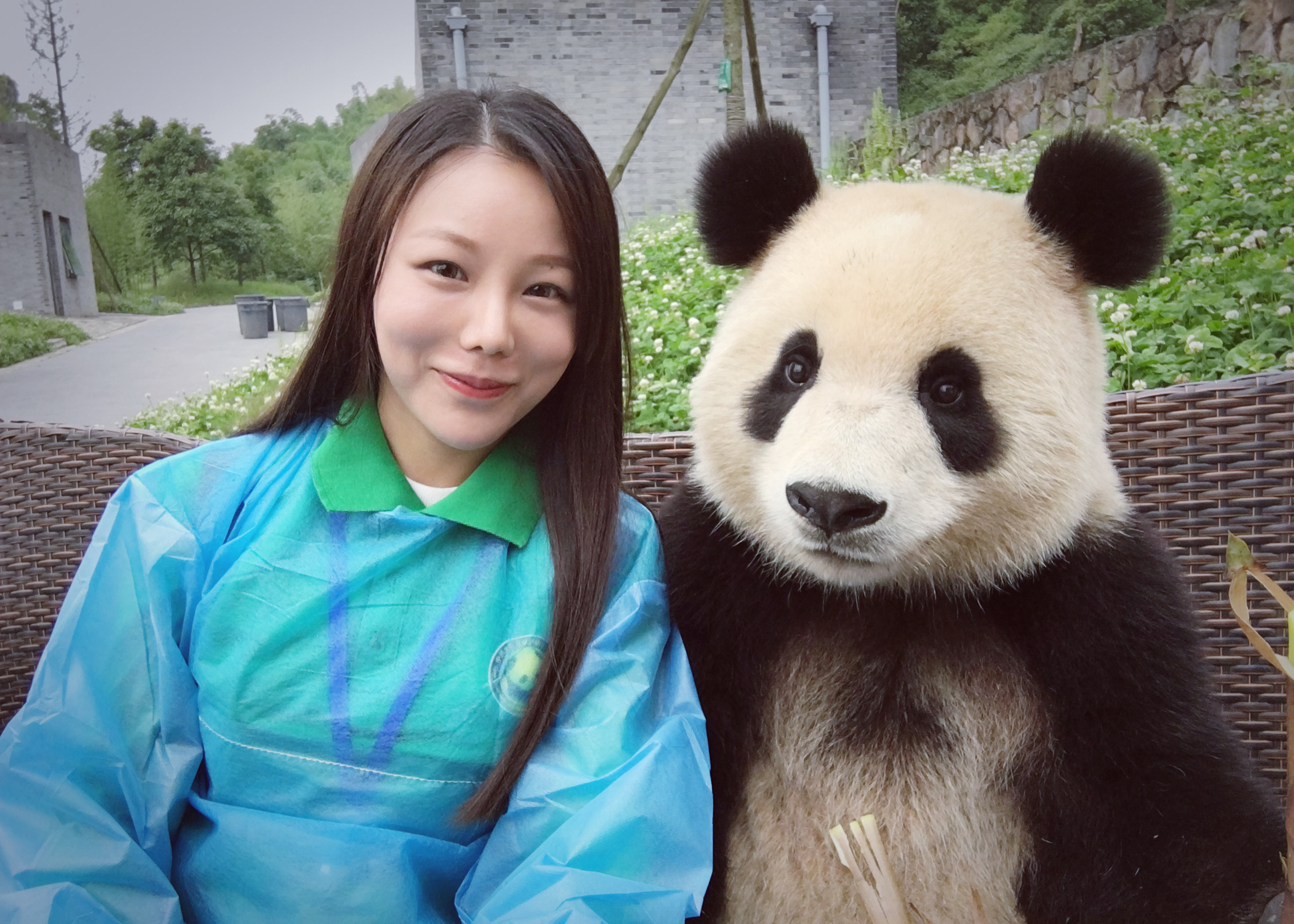 Панду катюшу заберут в китай. Панда в Китае. Большая Панда. Панда и человек. Селфи панды.