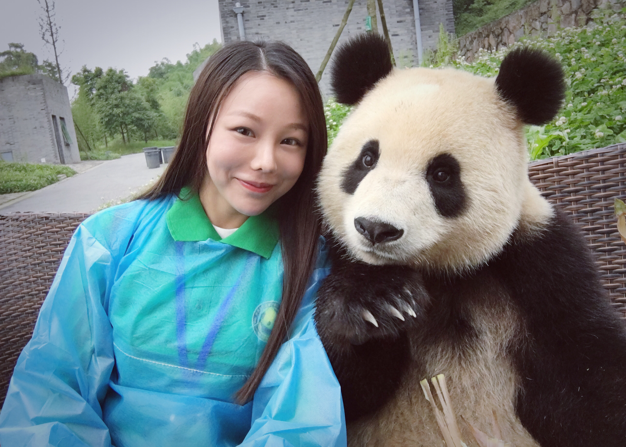 Пандочка блоггер. Девушка Панда. Обниматель панд в Китае. Панда и человек. Гигантская Панда.
