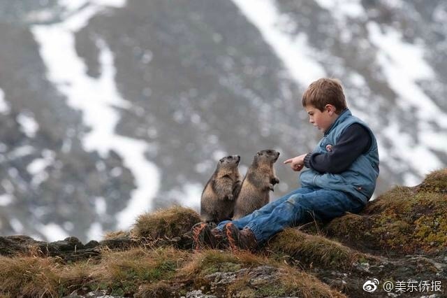 Suốt 9 năm, cậu bé không quản khó khăn, leo lên đỉnh Alps thăm những người bạn chuột chũi của mình - Ảnh 5.