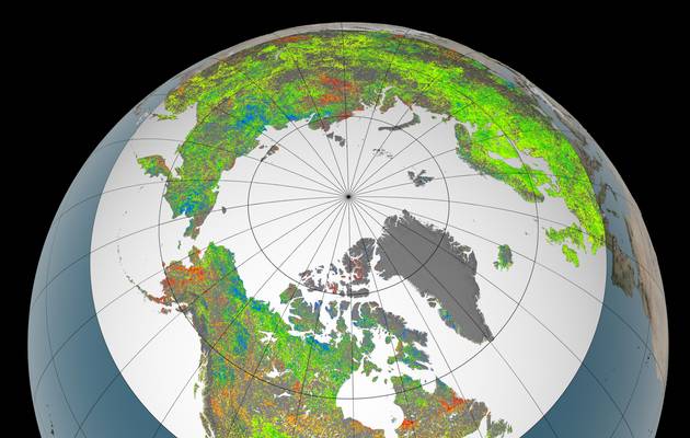 Bắc Cực đang bị phủ xanh với tốc độ khủng khiếp và đến giờ con người mới hiểu tại sao - Ảnh 3.