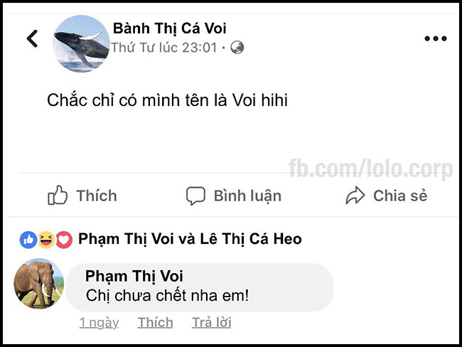 16 dòng status cập nhật siêu bựa của bè lũ động vật khi chơi Facebook - Ảnh 29.