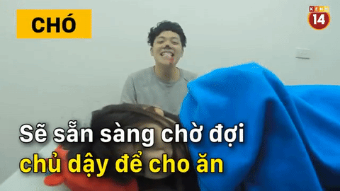 Sự kh&aacute;c biệt ho&agrave;n to&agrave;n giữa #team nu&ocirc;i ch&oacute; v&agrave; #team nu&ocirc;i m&egrave;o! - Ảnh 30.
