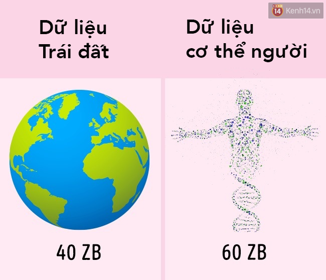 8 sự thật khó tin khi so sánh con người với những siêu máy tính mạnh nhất thế giới - Ảnh 5.