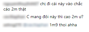 Hà Hồ diện giày bánh mì kiện tướng 20cm, fan thảng thốt hỏi: Chị mang đôi này thì cao 2 mét ư? - Ảnh 5.