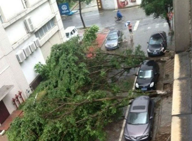 17 khoảnh khắc ng&agrave;n c&acirc;n treo sợi b&uacute;n m&agrave; chỉ người số đỏ mới c&oacute; diễm ph&uacute;c gặp được - Ảnh 15.