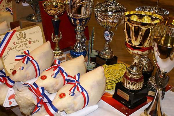 Thịt g&agrave; thượng hạng bậc nhất thế giới, gi&aacute; tới 1,1 triệu/kg: Ăn uống cầu kỳ, chuồng nu&ocirc;i rộng tới 10m2 - Ảnh 8.