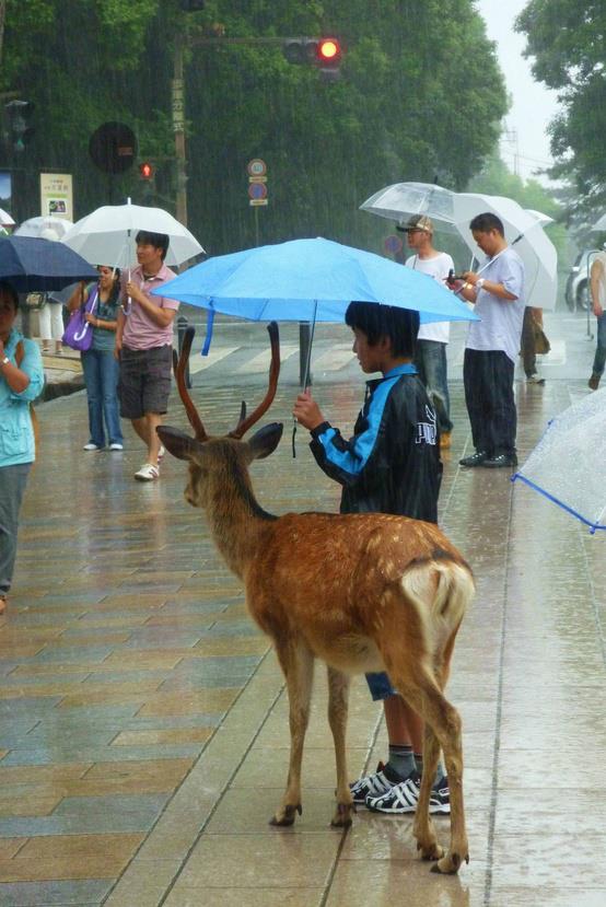 Loạt ảnh các dân chơi trời bão: Mưa gió cũng không làm nhụt chí ra ngoài đường - Ảnh 9.