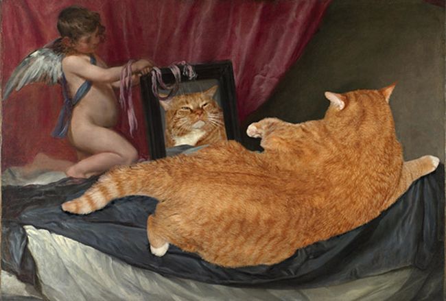 Chùm ảnh chế mèo béo hóa thân thành nàng thơ trong các bức họa nổi tiếng - Ảnh 19.