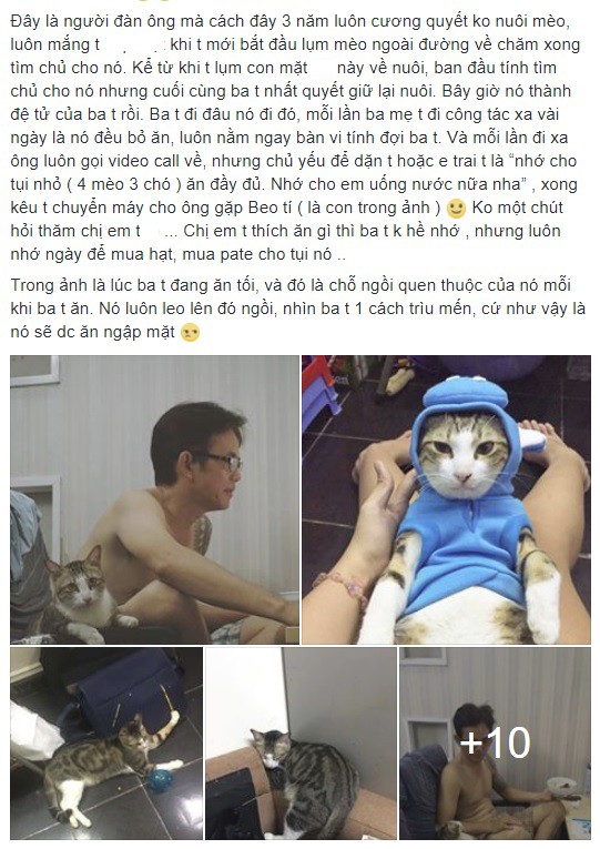 Đơn tố c&aacute;o của c&ocirc; g&aacute;i trẻ sau khi bị 4 con m&egrave;o v&agrave; 3 con ch&oacute; chiếm mất bố - Ảnh 1.