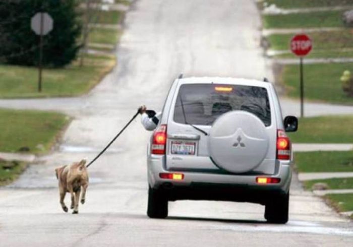 18 h&igrave;nh ảnh vừa nh&igrave;n qua đ&atilde; thấy ch&aacute;n hết cả người với đội lười - Ảnh 25.