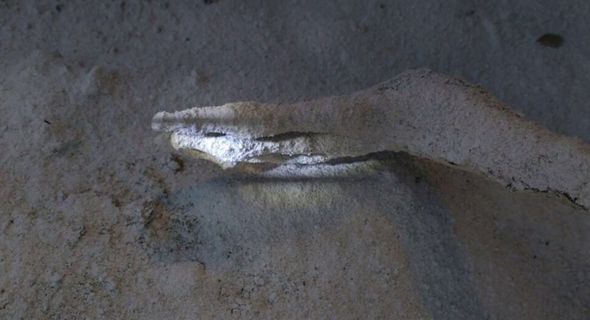 Hé lộ hình ảnh xác ướp giống người ngoài hành tinh trong hang động ở Peru - Ảnh 2.