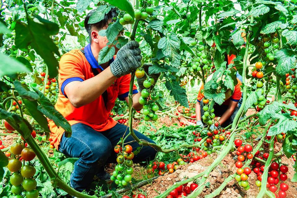 Đại học &ldquo;10 điều lạ&rdquo; ngay tại Việt Nam - Ảnh 3.