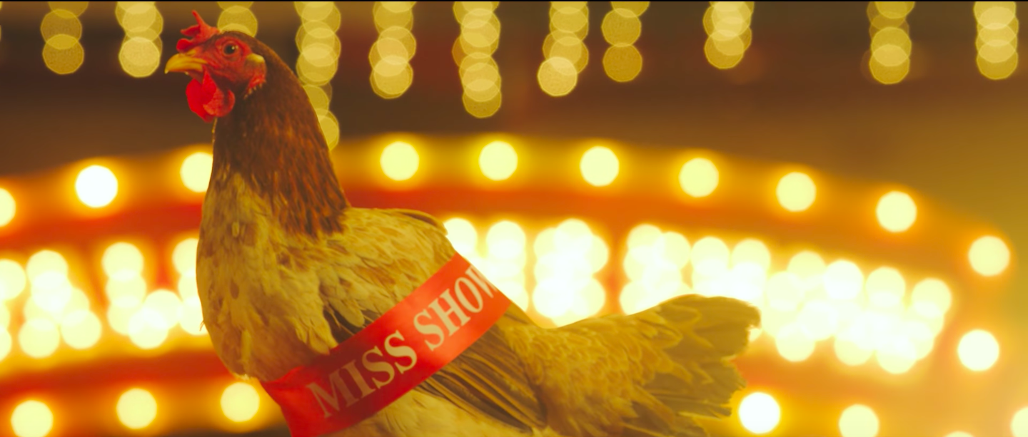Chi Pu tiếp tục chơi lầy, đưa hình ảnh gà mái buộc dải băng Miss Showbiz vào teaser MV đầy ẩn ý - Ảnh 2.
