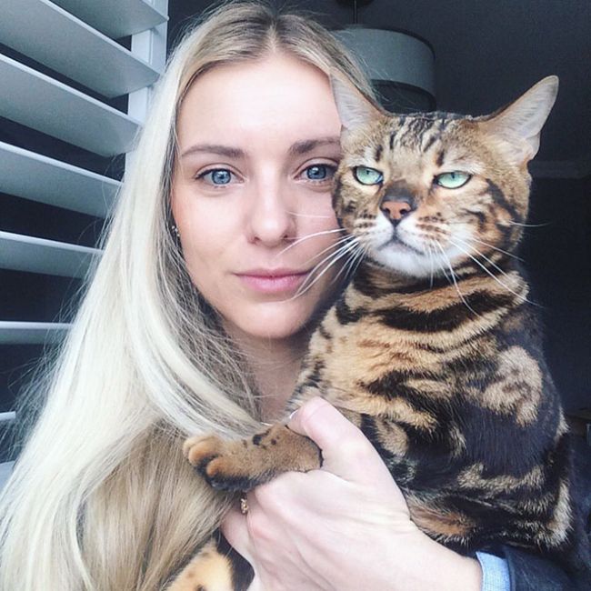 16 ch&uacute; m&egrave;o gh&eacute;t cay gh&eacute;t đắng việc selfie c&ugrave;ng chủ nh&acirc;n - Ảnh 7.