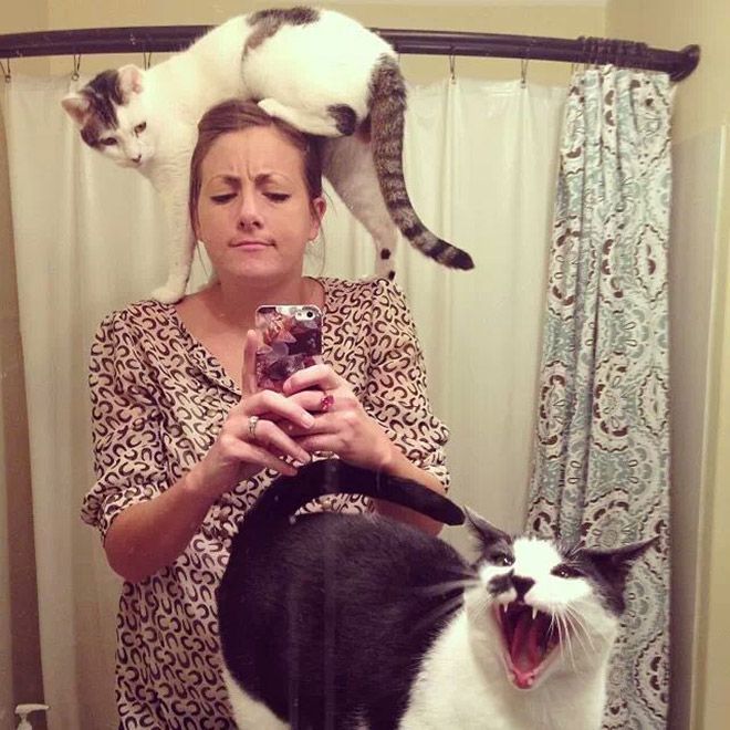 16 ch&uacute; m&egrave;o gh&eacute;t cay gh&eacute;t đắng việc selfie c&ugrave;ng chủ nh&acirc;n - Ảnh 31.