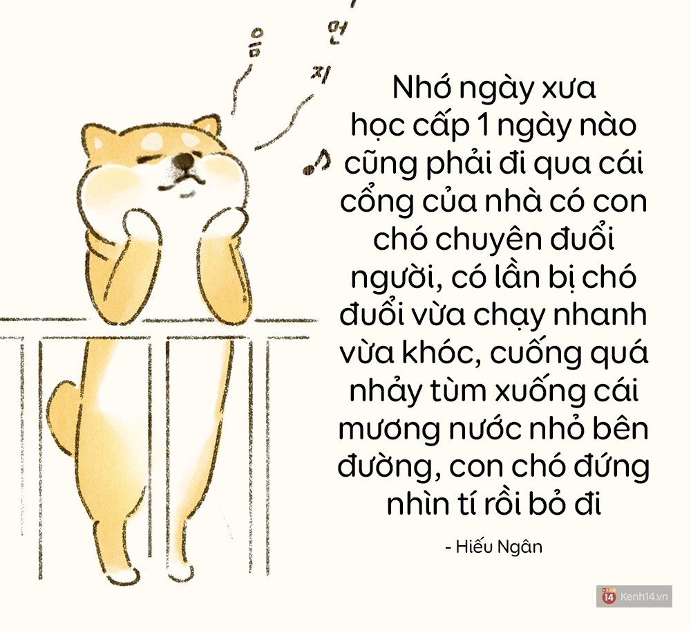 Ai cũng có một thời: Sợ chó đến mất cả lý trí, tin câu cứ đi đi, nó không cắn đâu! thì y như rằng phải đi tiêm phòng - Ảnh 19. Ai cũng có một thời: Sợ chó đến mất cả lý trí, tin câu cứ đi đi, nó không cắn đâu! thì y như rằng phải đi tiêm phòng - Ảnh 19.