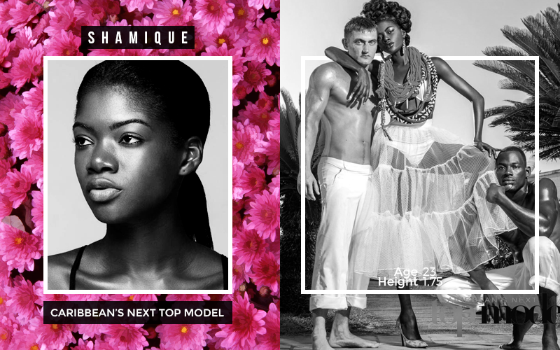 Next Top Model 2017: Có 3 Á quân là người Việt Nam! - Ảnh 6. Next Top Model 2017: Có 3 Á quân là người Việt Nam! - Ảnh 6.